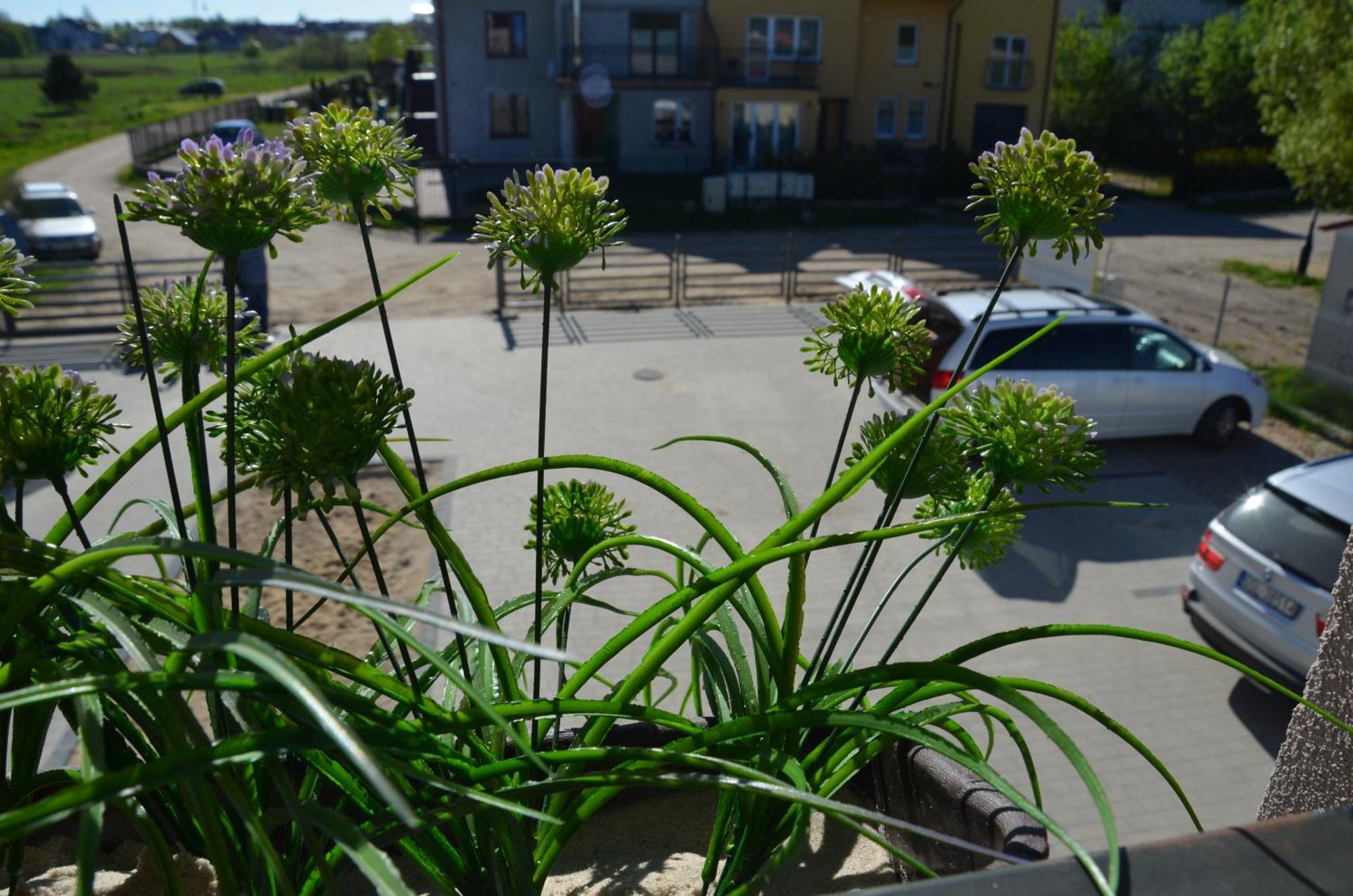 Ahoj Appartement Łeba Buitenkant foto